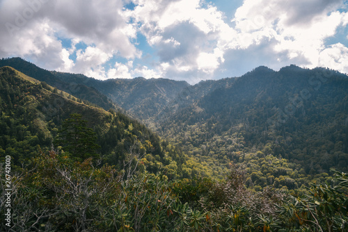 Great Smoky Mountains National Park on the Border of Tennessee and North Carolina   © Alisha