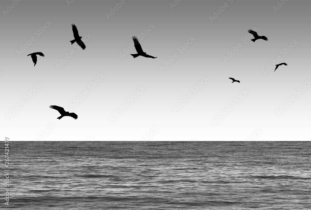 Milanos, emigración aves, pájaros con el mar sereno. Ilustración.