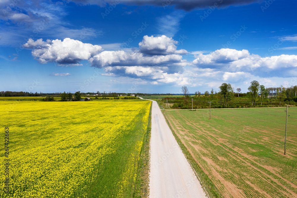 Fields and roads in latvian countryside. Fields and roads in latvian countryside.