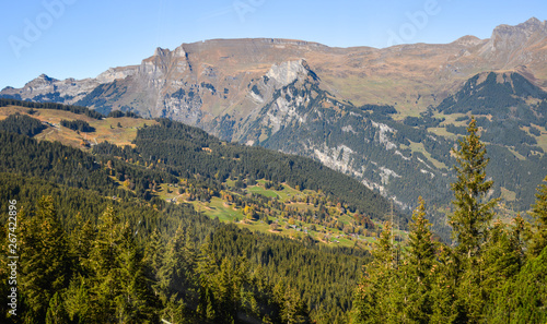 Mountainscape of Grindelwald  Switzerland