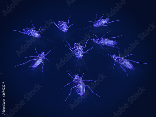 Cockroaches trapped in death, x-ray mode of dead cockroaches. 3Drendering