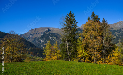 Fototapeta Naklejka Na Ścianę i Meble -  Mountainscape of Grindelwald, Switzerland