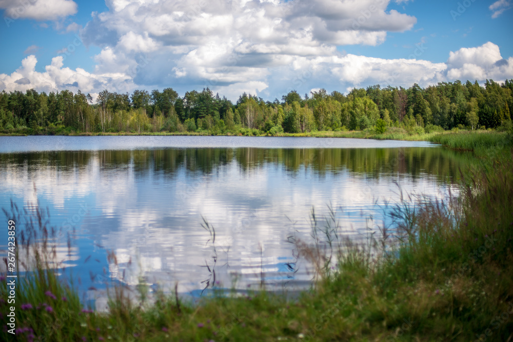 Obraz premium country lake in summer