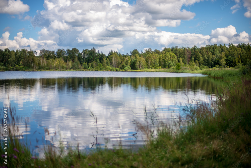 Fototapeta premium country lake in summer