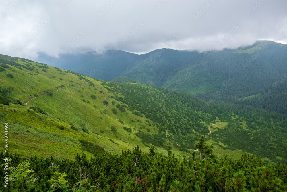 Fototapeta premium hiking trails in slovakia in rainy summer day