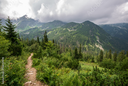 hiking trails in slovakia in rainy summer day
