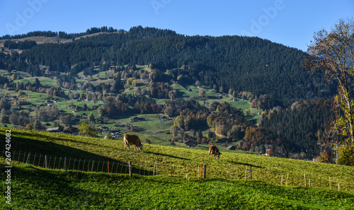 Mountainscape of Grindelwald, Switzerland