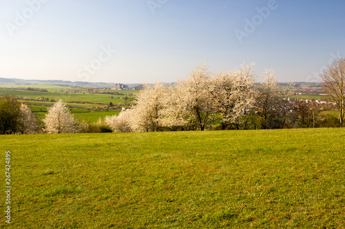 Spring rural landscape in village