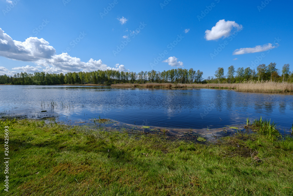 recreation camping area by the blue lake in sunny summer day