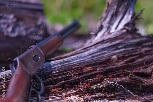 Antique lever action rifle with a downed tree