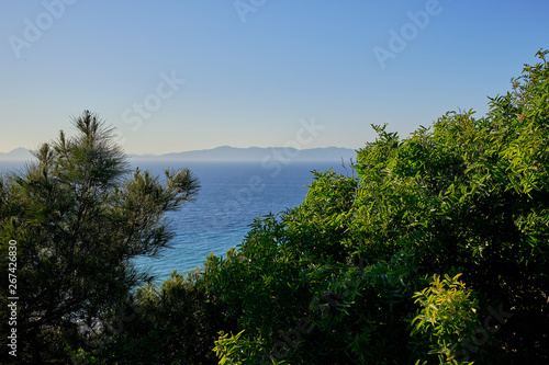 dense green forest in the foreground and sea in the background with a cloudless sky and mountains on the horizon © Kilman Foto