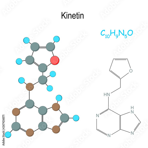 Kinetin. Chemical structural formula and model of hormone molecule. C10H9N5O