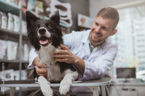 Happy healthy dog being examined by professional veterinarian, copy space. Cheerful handsome male vet doctor smiling at the dog after medical examination photo