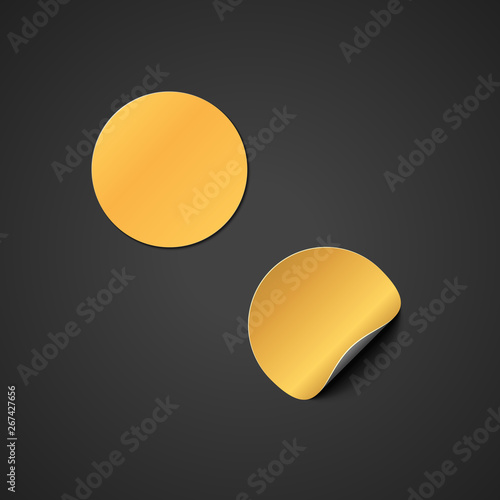 vector blank gold sticker mockup.
