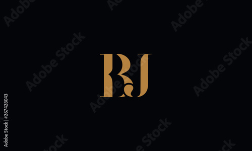 BJ logo design template vector illustration