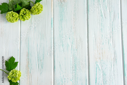 Beautiful yellow green flowers on a light background with space for a congratulatory inscription. Frame for greeting banner, postcard. Flat lay, top view.