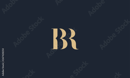 BR logo design template vector illustration