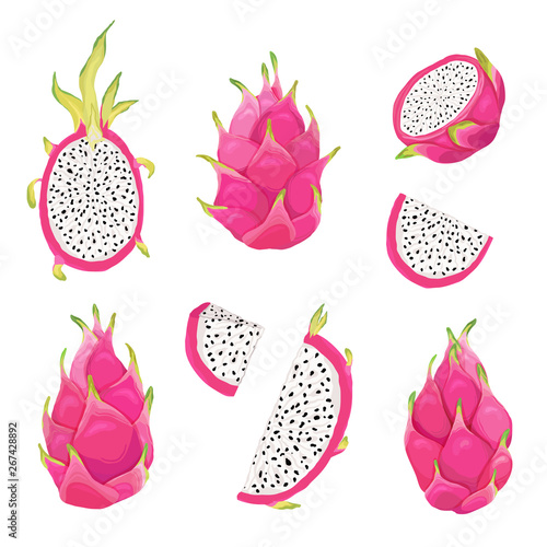 Set of dragon fruits and pitaya illustration design elements. Hand drawn vector in watercolor style for summer romantic cover, tropical wallpaper, vintage texture