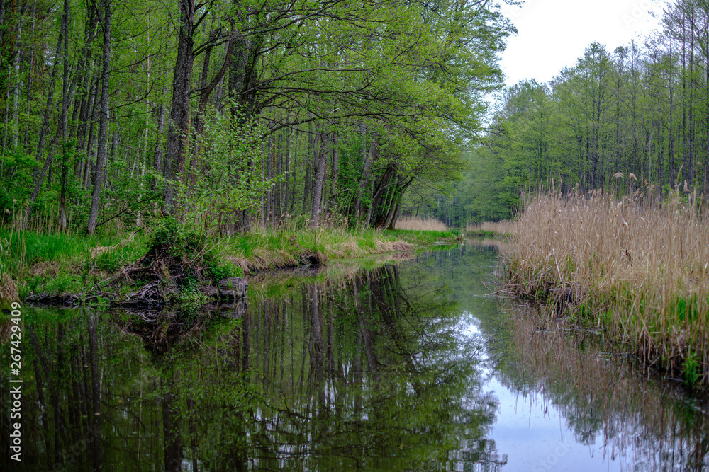 small forest river with calm water and reflections from trees in it