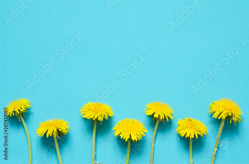 Flowers composition. Yellow flowers of dandelions on white background. Top wiev. - Image