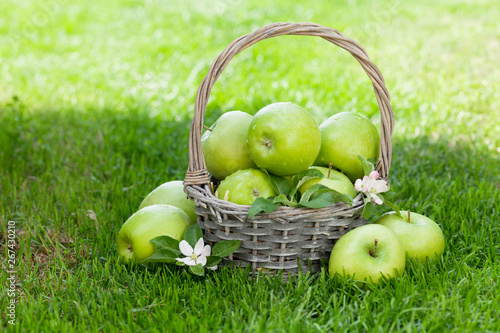 Fresh garden apples in basket