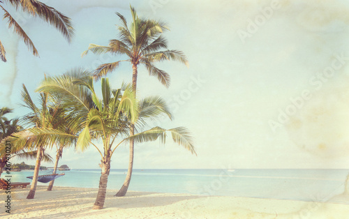 Coconut tree on the sky background-  - retro styled picture © photolink