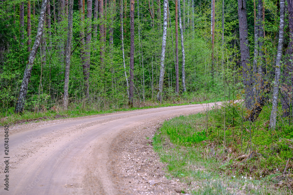 Fototapeta premium dusty gravel road in country summer time