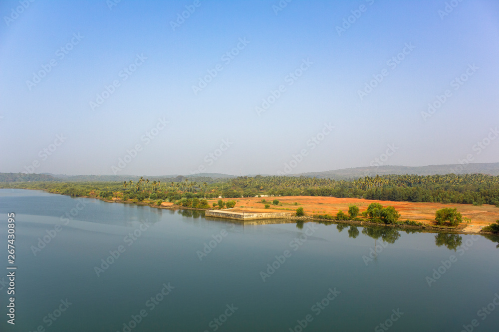 river bank with green forest and palm trees under a clear blue sky, view from the water