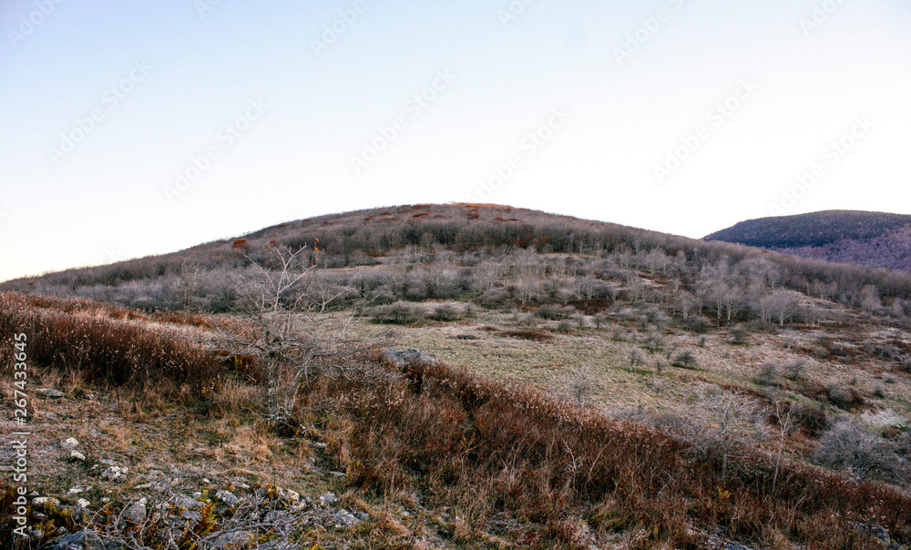 Autumn in Grayson Highlands State Park in Jefferson National Forest in Virginia 