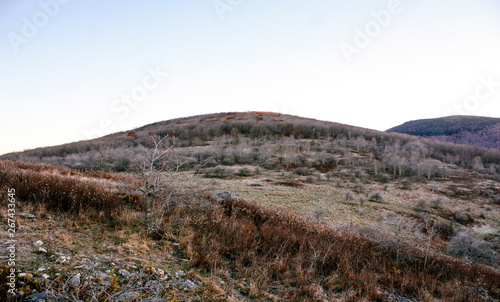 Autumn in Grayson Highlands State Park in Jefferson National Forest in Virginia 