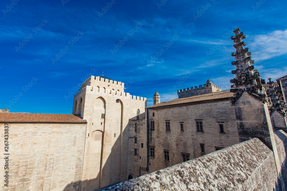 Obraz premium Palais des Papes in Avignon, France