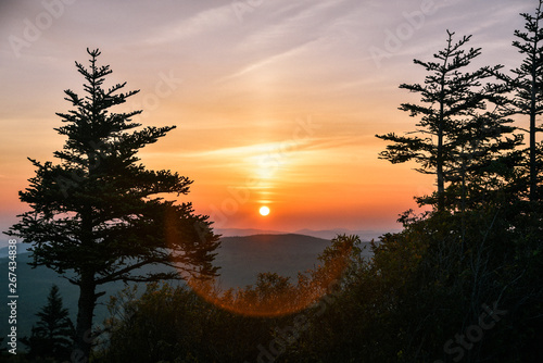Sunrise Landscape View in Grayson Highlands State Park in Jefferson National Forest in Virginia 