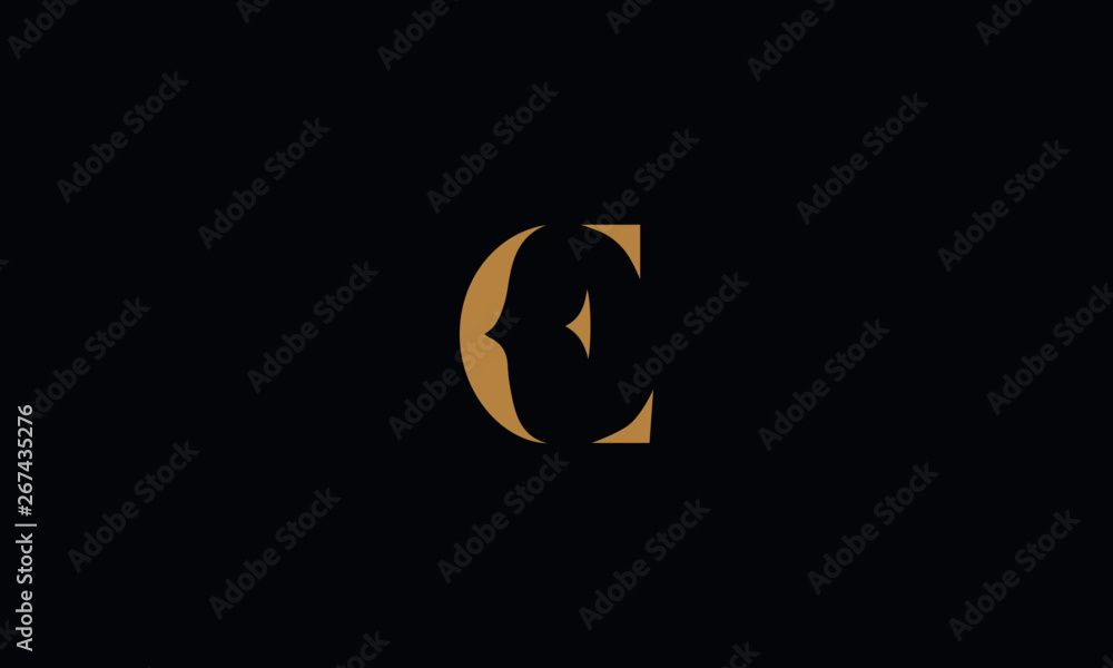 CE logo design template vector illustration