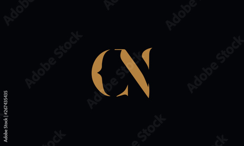 CN logo design template vector illustration