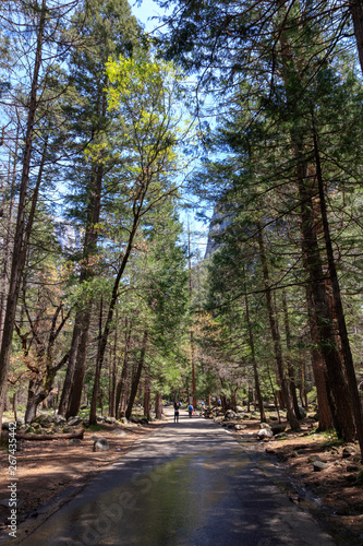 Bridalveil Fall Trail in Yosemite National Park   California   USA