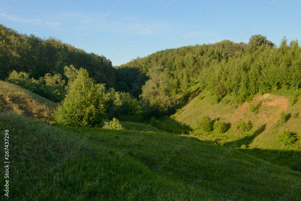 Summer evening landscape with green forest on the hillsides and blue sky