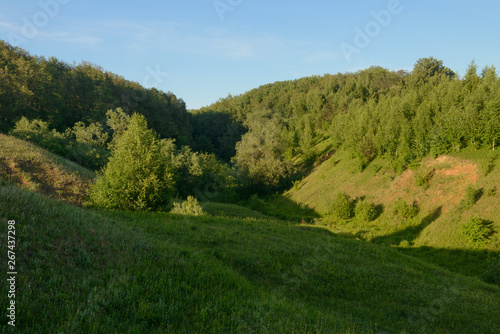 Summer evening landscape with green forest on the hillsides and blue sky