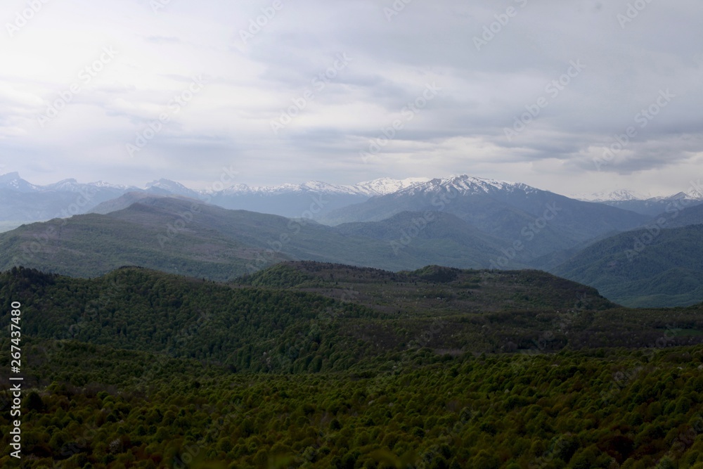Fototapeta premium Green forest and mountains