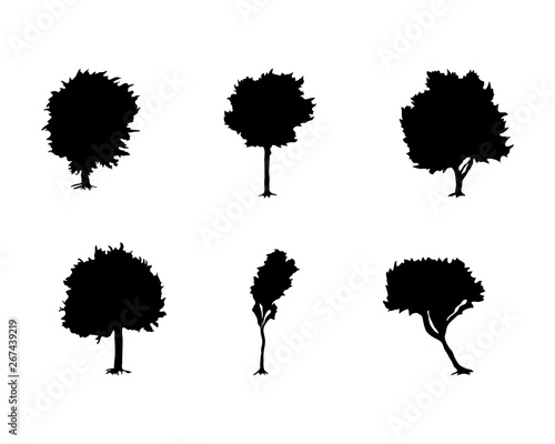 Trees set of black silhouette on white background. Collection various forms. Vector illustration