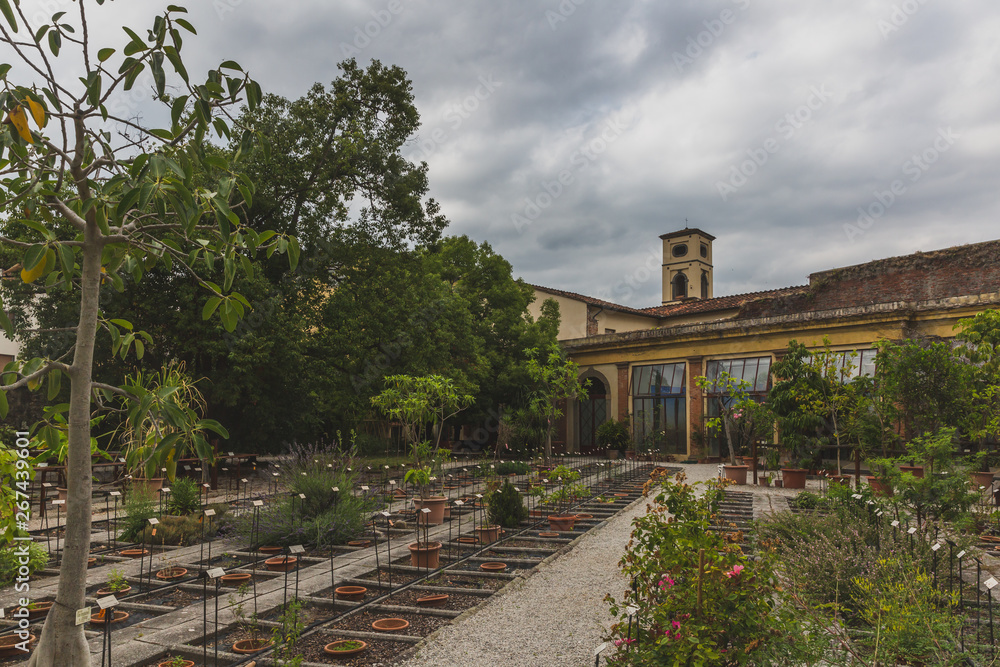 Path and building with tower, in the botanical garden of Lucca, Tuscany, Italy