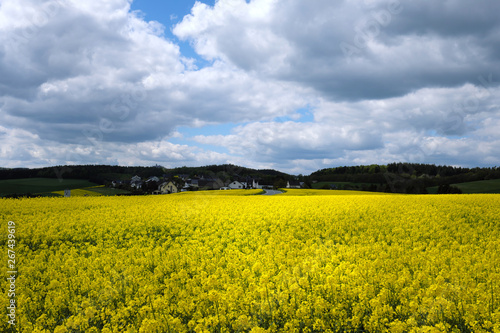 Der Eifelort D  ttingen am N  rburgring und bl  hendes Rapsfeld - Stockfoto