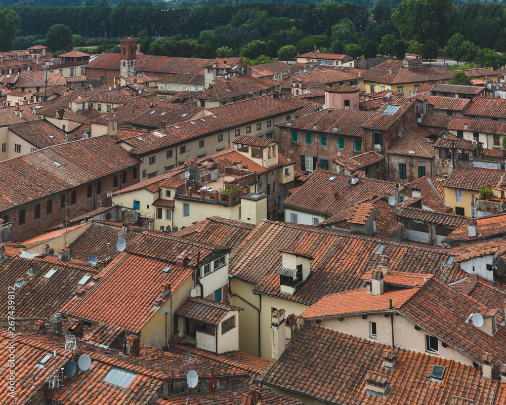 Rooftops of houses in the historic centre of Lucca, Tuscany, Italy