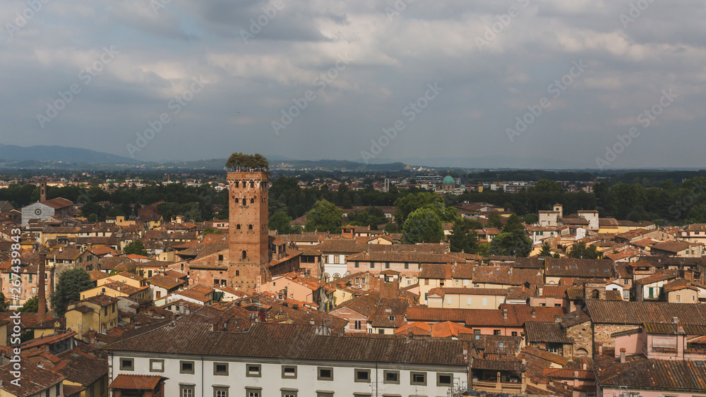 Guinigi tower over houses in, Lucca, Tuscany, Italy