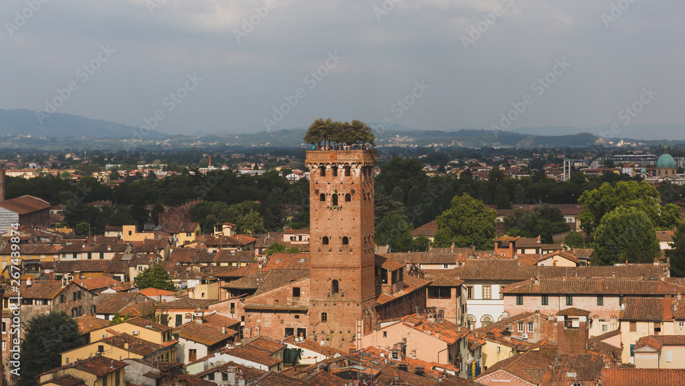 Guinigi tower over houses in, Lucca, Tuscany, Italy