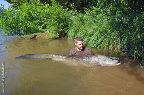 Fisherman holding a giant catfish. Catch of fish, freshwater fishing, monster fish photo