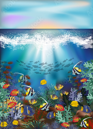 Fototapeta Naklejka Na Ścianę i Meble -  Underwater wallpaper with tropical fish, vector illustration