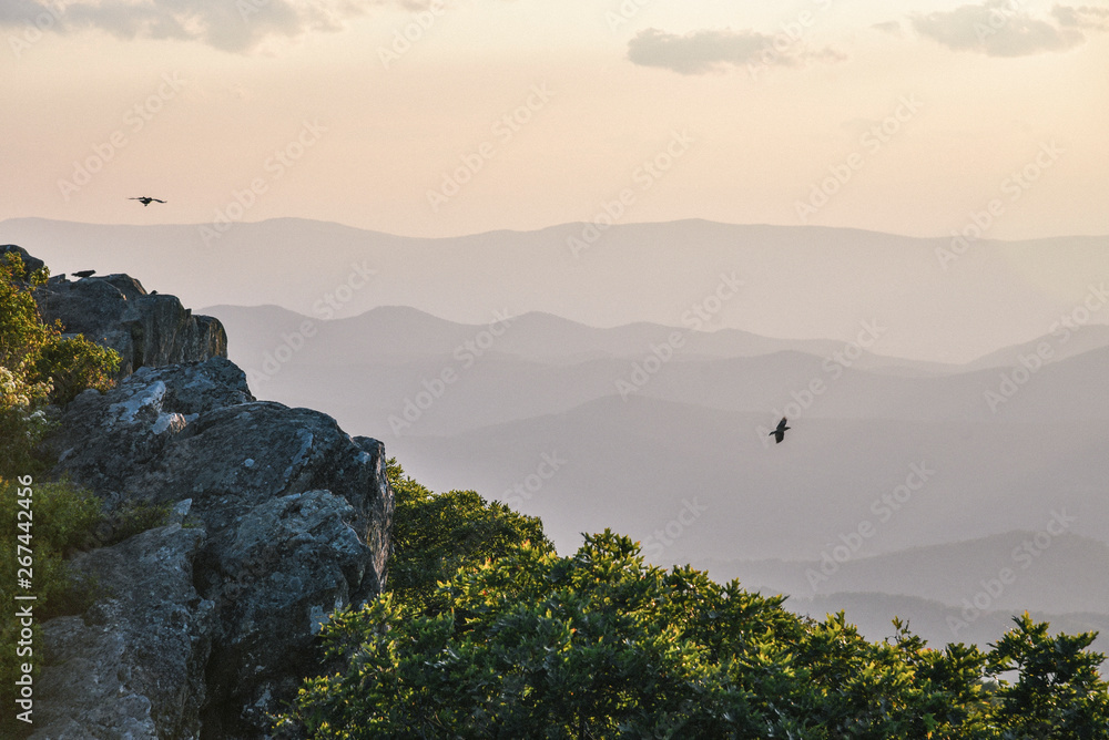 Fototapeta premium Sunset View in Shenandoah National Park in Virginia in Summer