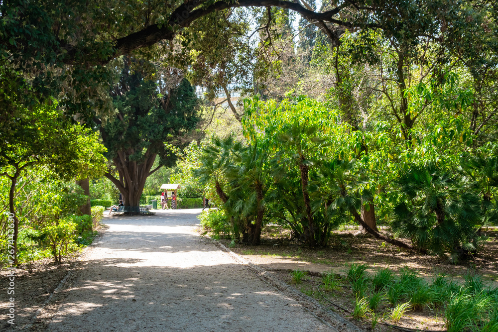 Park curved soil pathways with trees and green low grass. park in Athens, Greece Park curved soil pathways with trees and green low grass. park in Athens, Greece