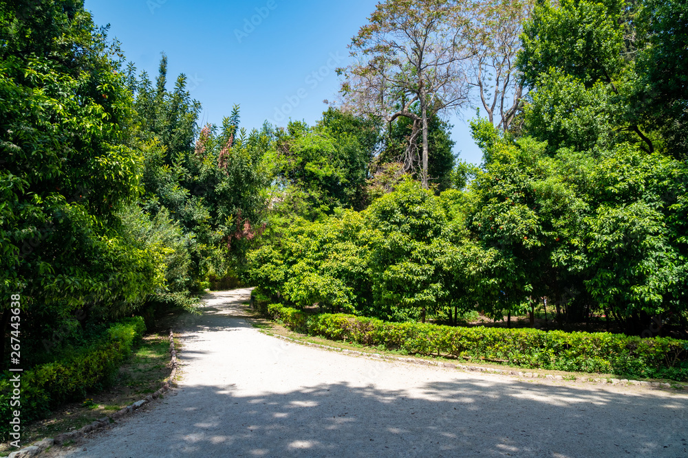 Park curved soil pathways with trees and green low grass. park in Athens, Greece