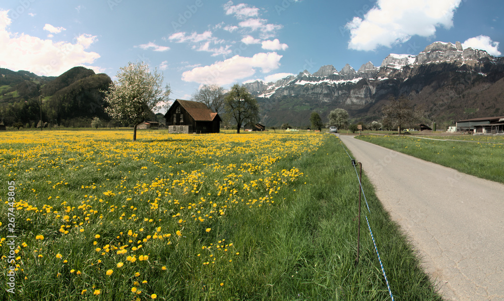 Flums valley in Spring, Swiss Alps